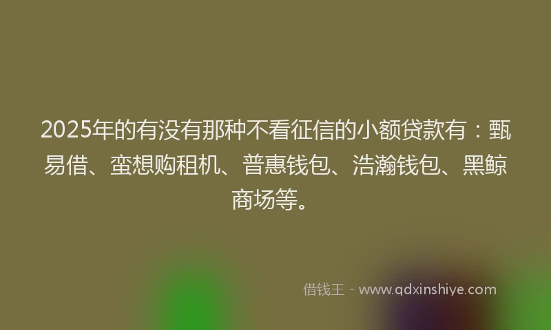 2025年的有没有那种不看征信的小额贷款有：甄易借、蛮想购租机、普惠钱包、浩瀚钱包、黑鲸商场等。