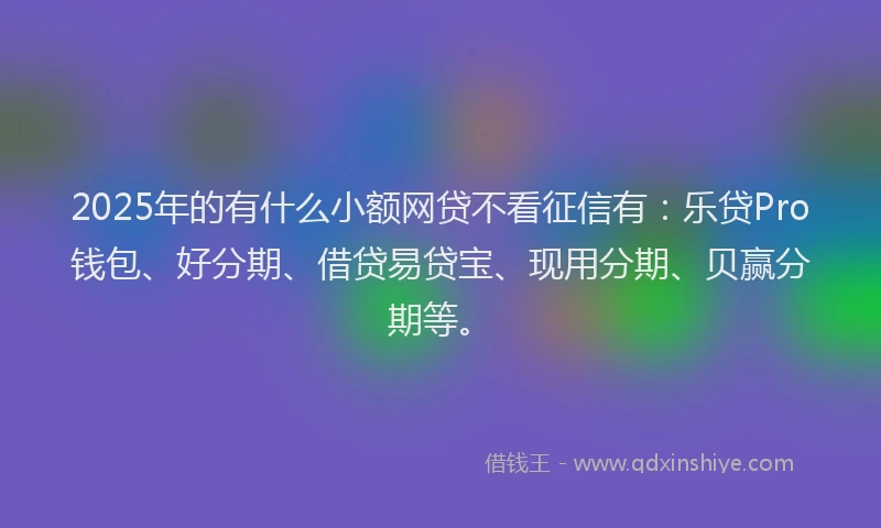 2025年的有什么小额网贷不看征信有：乐贷Pro钱包、好分期、借贷易贷宝、现用分期、贝赢分期等。