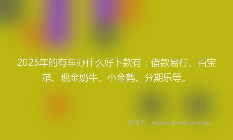 2025年的有车办什么好下款有：借款易行、百宝箱、现金奶牛、小金鹤、分期乐等。