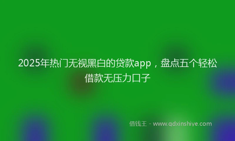 2025年热门无视黑白的贷款app，盘点五个轻松借款无压力口子