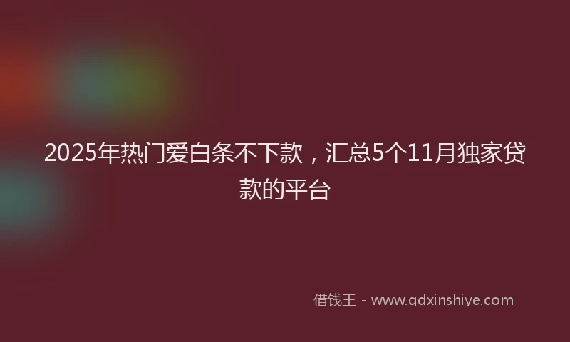 2025年热门爱白条不下款，汇总5个11月独家贷款的平台