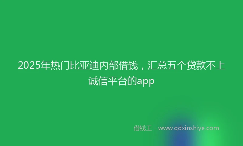 2025年热门比亚迪内部借钱，汇总五个贷款不上诚信平台的app