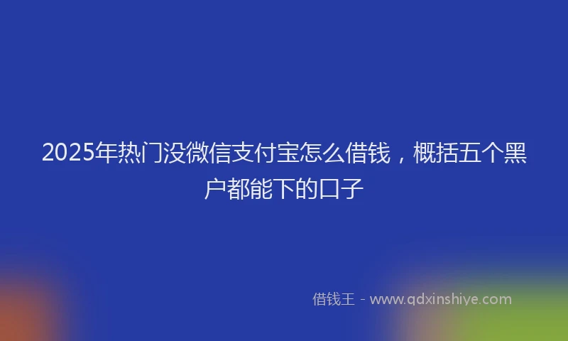 2025年热门没微信支付宝怎么借钱，概括五个黑户都能下的口子