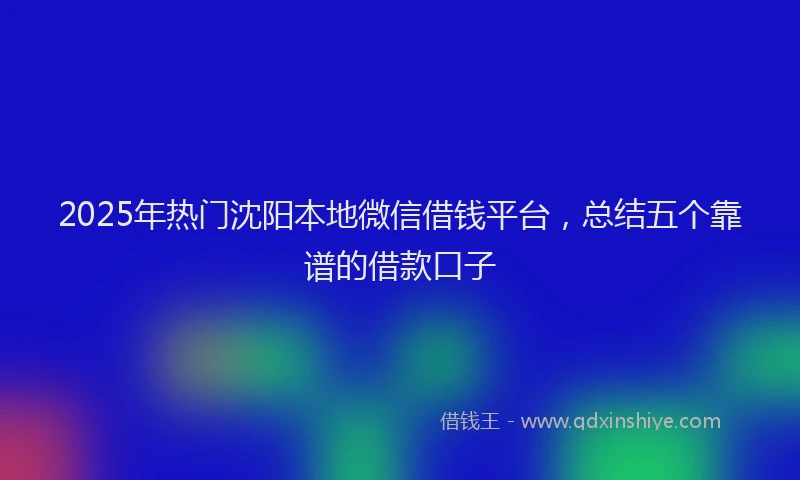 2025年热门沈阳本地微信借钱平台，总结五个靠谱的借款口子