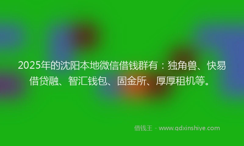 2025年的沈阳本地微信借钱群有：独角兽、快易借贷融、智汇钱包、固金所、厚厚租机等。