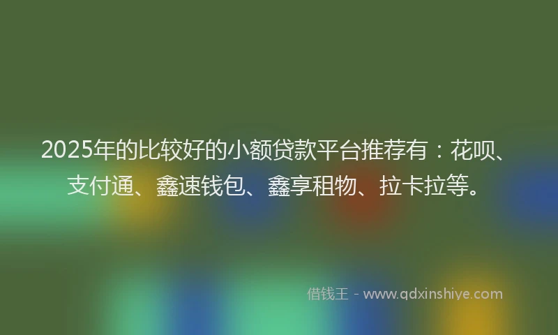 2025年的比较好的小额贷款平台推荐有：花呗、支付通、鑫速钱包、鑫享租物、拉卡拉等。