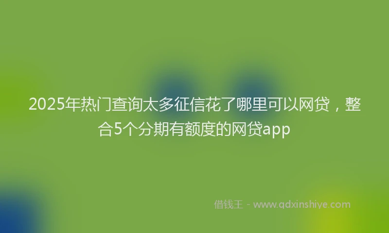 2025年热门查询太多征信花了哪里可以网贷，整合5个分期有额度的网贷app