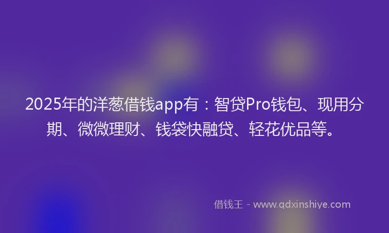2025年的洋葱借钱app有：智贷Pro钱包、现用分期、微微理财、钱袋快融贷、轻花优品等。