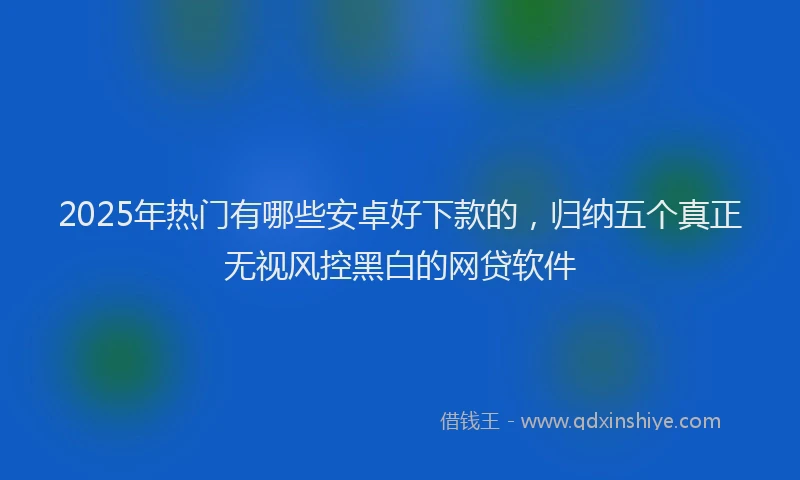 2025年热门有哪些安卓好下款的，归纳五个真正无视风控黑白的网贷软件