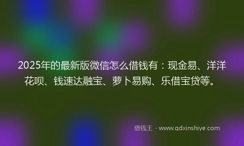 2025年的最新版微信怎么借钱有：现金易、洋洋花呗、钱速达融宝、萝卜易购、乐借宝贷等。