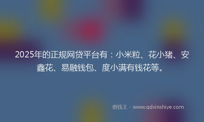 2025年的正规网贷平台有：小米粒、花小猪、安鑫花、易融钱包、度小满有钱花等。
