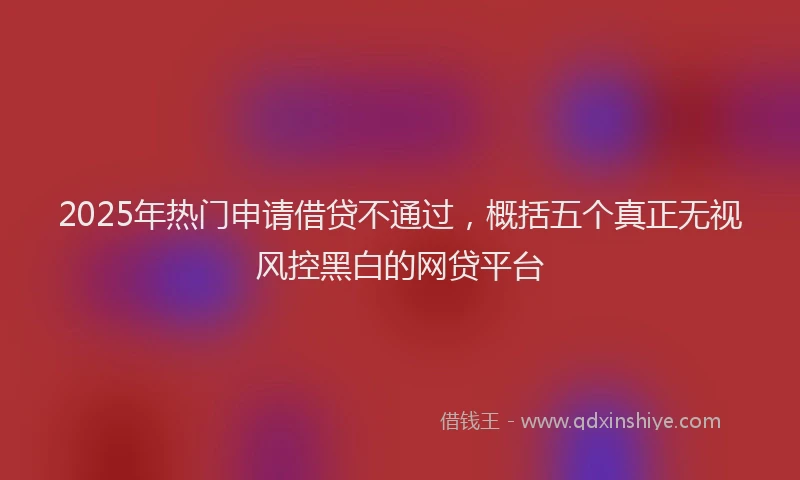 2025年热门申请借贷不通过，概括五个真正无视风控黑白的网贷平台