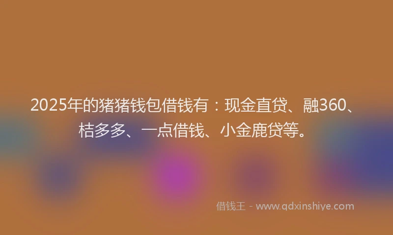 2025年的猪猪钱包借钱有：现金直贷、融360、桔多多、一点借钱、小金鹿贷等。