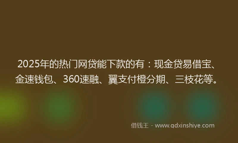 2025年的热门网贷能下款的有：现金贷易借宝、金速钱包、360速融、翼支付橙分期、三枝花等。