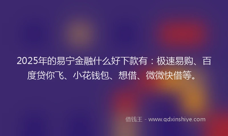 2025年的易宁金融什么好下款有：极速易购、百度贷你飞、小花钱包、想借、微微快借等。