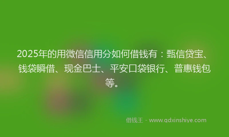 2025年的用微信信用分如何借钱有：甄信贷宝、钱袋瞬借、现金巴士、平安口袋银行、普惠钱包等。