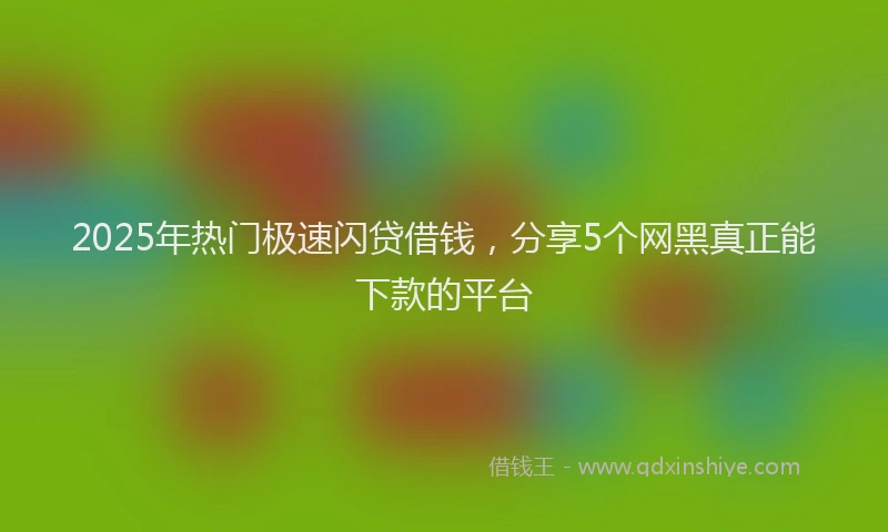 2025年热门极速闪贷借钱，分享5个网黑真正能下款的平台