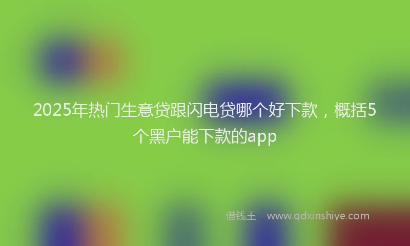 2025年热门生意贷跟闪电贷哪个好下款，概括5个黑户能下款的app