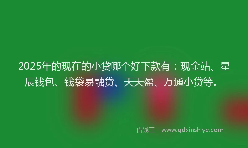 2025年的现在的小贷哪个好下款有：现金站、星辰钱包、钱袋易融贷、天天盈、万通小贷等。