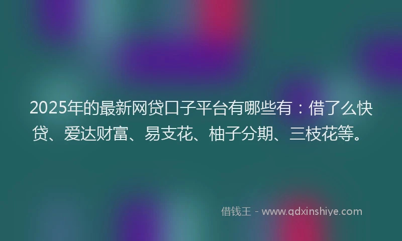 2025年的最新网贷口子平台有哪些有：借了么快贷、爱达财富、易支花、柚子分期、三枝花等。