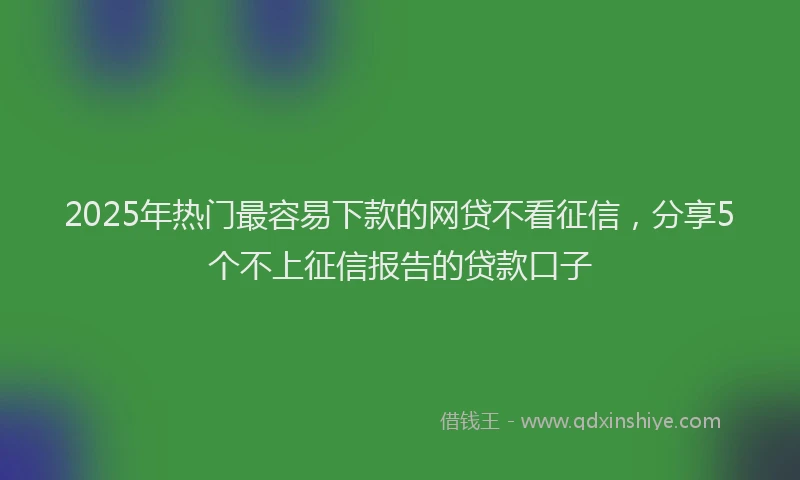2025年热门最容易下款的网贷不看征信，分享5个不上征信报告的贷款口子