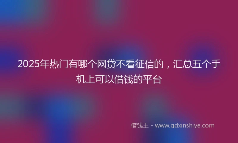 2025年热门有哪个网贷不看征信的，汇总五个手机上可以借钱的平台