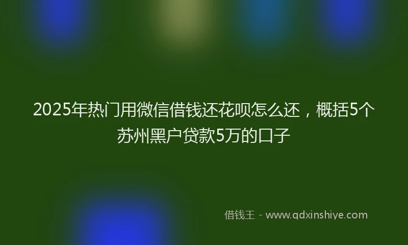 2025年热门用微信借钱还花呗怎么还，概括5个苏州黑户贷款5万的口子