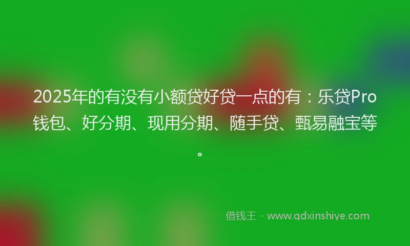 2025年的有没有小额贷好贷一点的有：乐贷Pro钱包、好分期、现用分期、随手贷、甄易融宝等。