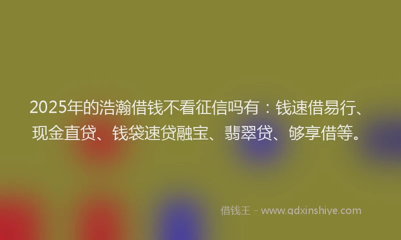 2025年的浩瀚借钱不看征信吗有：钱速借易行、现金直贷、钱袋速贷融宝、翡翠贷、够享借等。