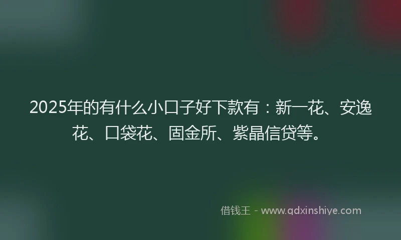 2025年的有什么小口子好下款有：新一花、安逸花、口袋花、固金所、紫晶信贷等。