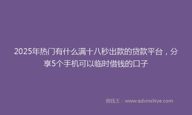 2025年热门有什么满十八秒出款的贷款平台，分享5个手机可以临时借钱的口子