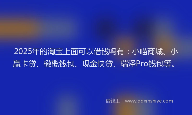 2025年的淘宝上面可以借钱吗有：小喵商城、小赢卡贷、橄榄钱包、现金快贷、瑞泽Pro钱包等。