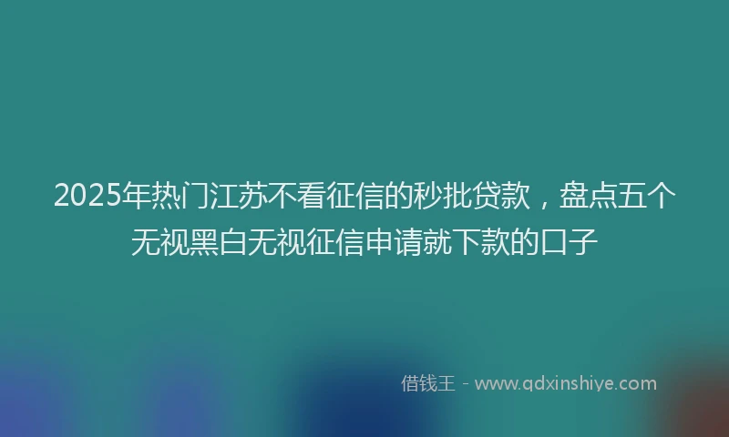 2025年热门江苏不看征信的秒批贷款，盘点五个无视黑白无视征信申请就下款的口子