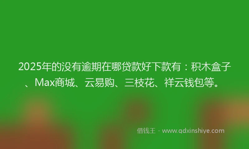 2025年的没有逾期在哪贷款好下款有：积木盒子、Max商城、云易购、三枝花、祥云钱包等。