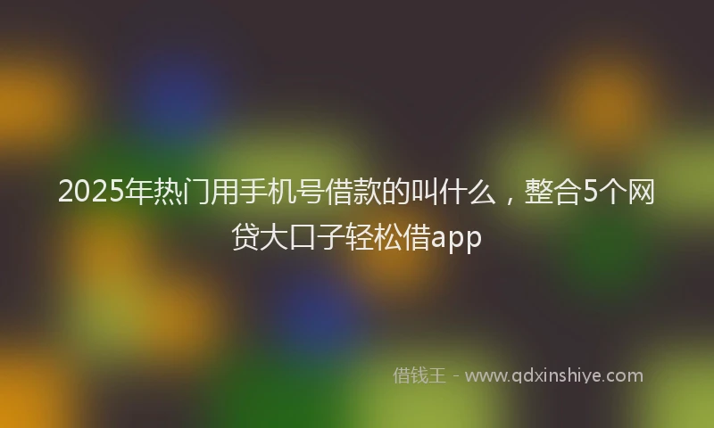 2025年热门用手机号借款的叫什么，整合5个网贷大口子轻松借app