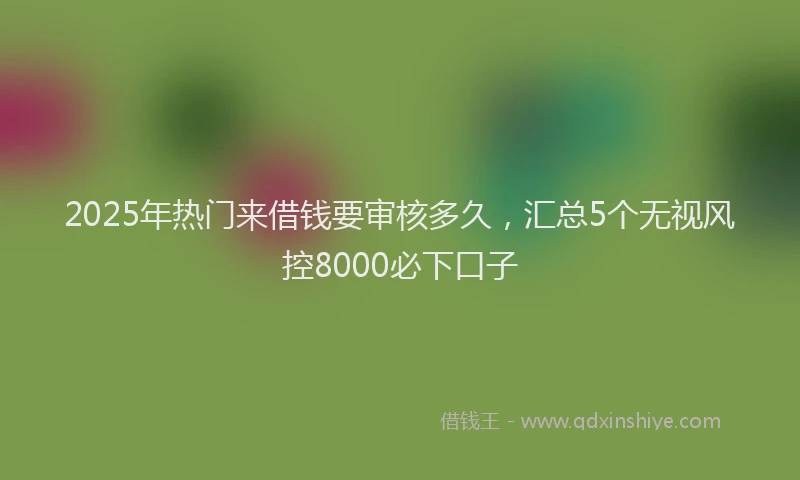 2025年热门来借钱要审核多久，汇总5个无视风控8000必下口子