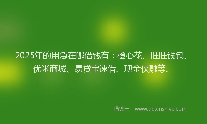 2025年的用急在哪借钱有：橙心花、旺旺钱包、优米商城、易贷宝速借、现金侠融等。