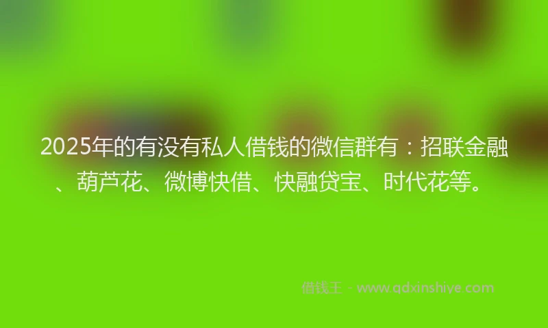 2025年的有没有私人借钱的微信群有：招联金融、葫芦花、微博快借、快融贷宝、时代花等。