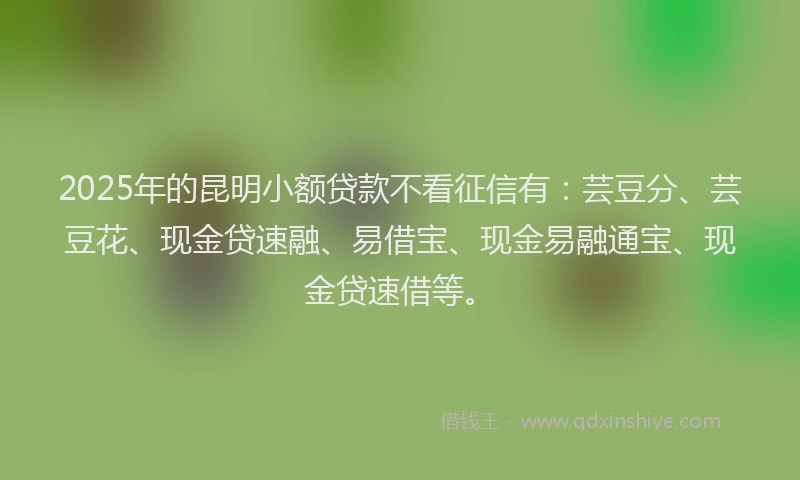 2025年的昆明小额贷款不看征信有：芸豆分、芸豆花、现金贷速融、易借宝、现金易融通宝、现金贷速借等。