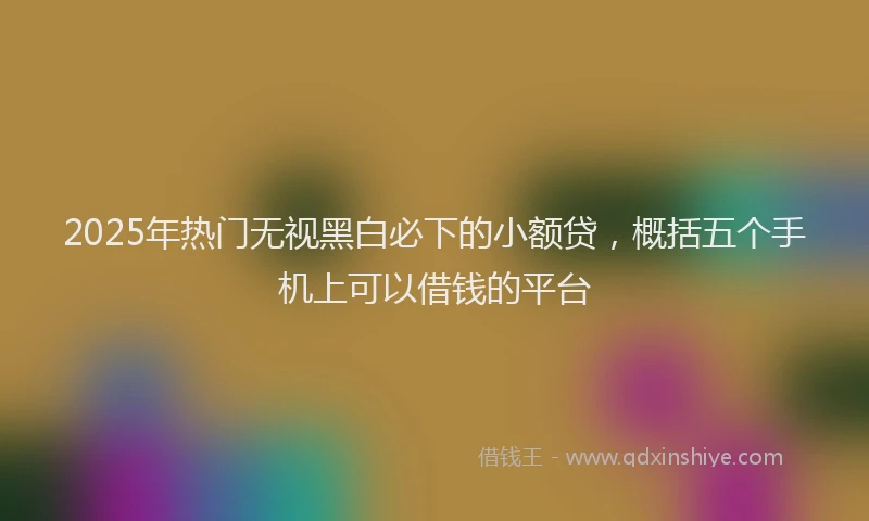 2025年热门无视黑白必下的小额贷，概括五个手机上可以借钱的平台