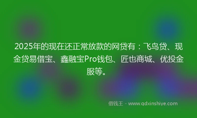 2025年的现在还正常放款的网贷有：飞鸟贷、现金贷易借宝、鑫融宝Pro钱包、匠也商城、优投金服等。
