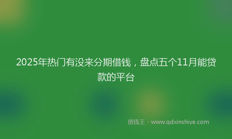 2025年热门有没来分期借钱，盘点五个11月能贷款的平台