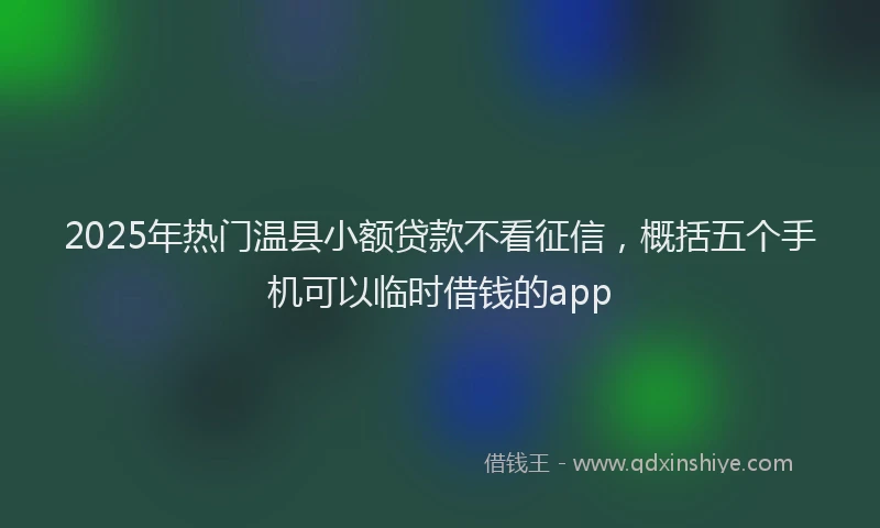 2025年热门温县小额贷款不看征信，概括五个手机可以临时借钱的app