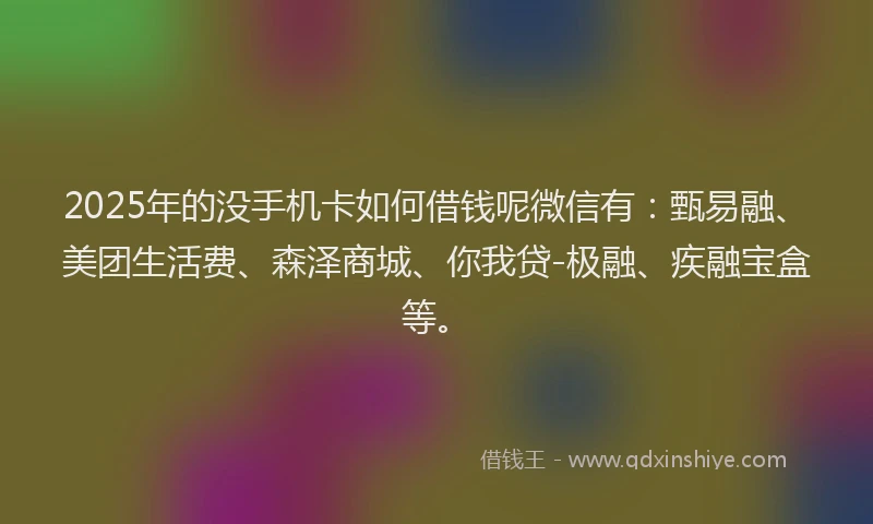 2025年的没手机卡如何借钱呢微信有：甄易融、美团生活费、森泽商城、你我贷-极融、疾融宝盒等。