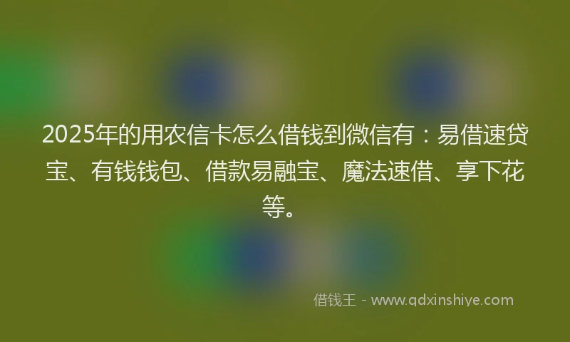 2025年的用农信卡怎么借钱到微信有：易借速贷宝、有钱钱包、借款易融宝、魔法速借、享下花等。