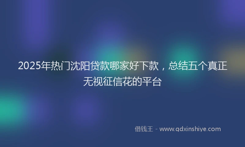 2025年热门沈阳贷款哪家好下款，总结五个真正无视征信花的平台