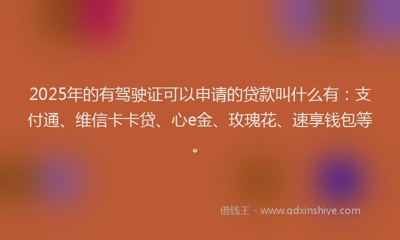 2025年的有驾驶证可以申请的贷款叫什么有：支付通、维信卡卡贷、心e金、玫瑰花、速享钱包等。