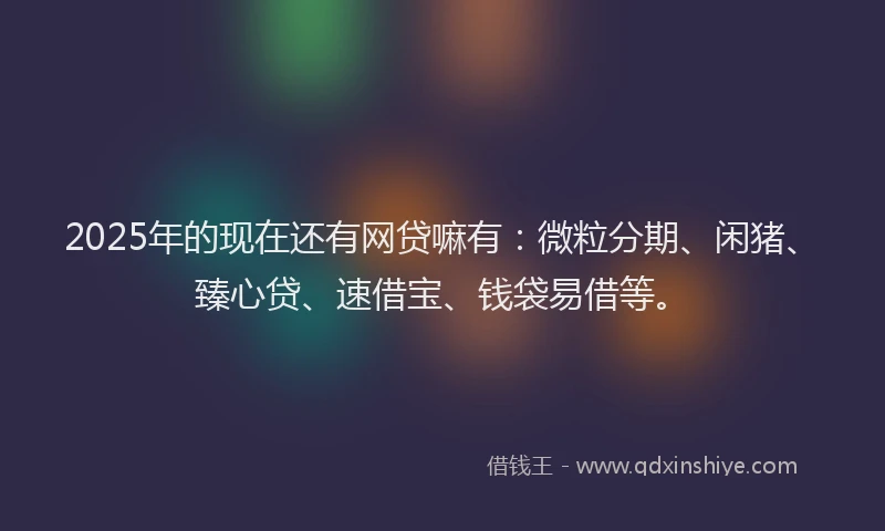 2025年的现在还有网贷嘛有：微粒分期、闲猪、臻心贷、速借宝、钱袋易借等。