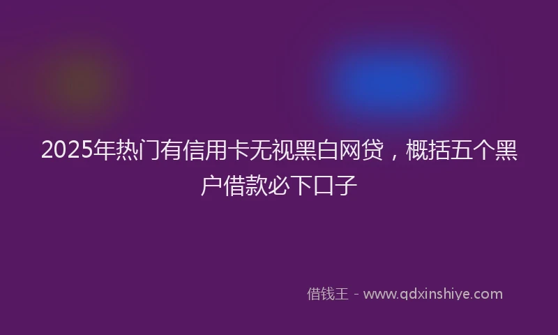2025年热门有信用卡无视黑白网贷，概括五个黑户借款必下口子