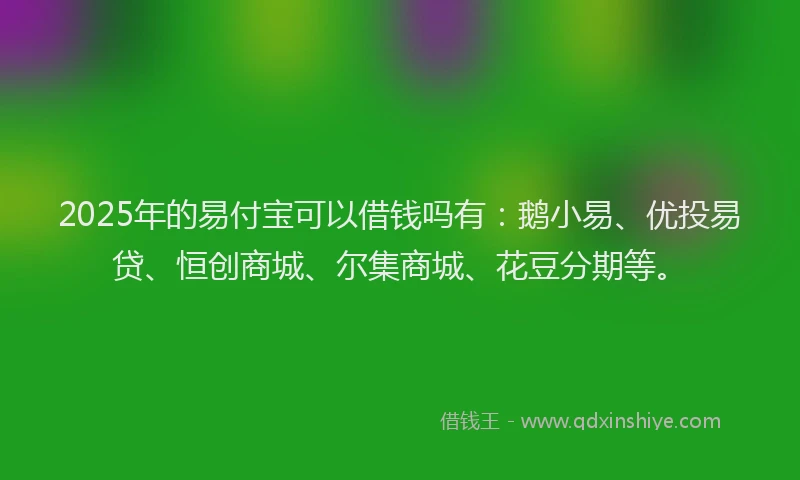 2025年的易付宝可以借钱吗有：鹅小易、优投易贷、恒创商城、尔集商城、花豆分期等。